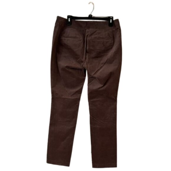 Loft Brown Velvet Straight Leg, Skinny Pants - 10 - Picture 2 of 6
